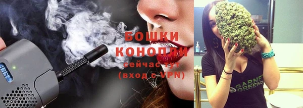 дурь Новодвинск