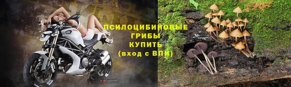 ECSTASY Зеленодольск